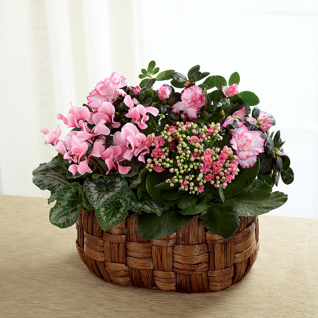 Pink Assortment – Tri-city Florist, Vista CA