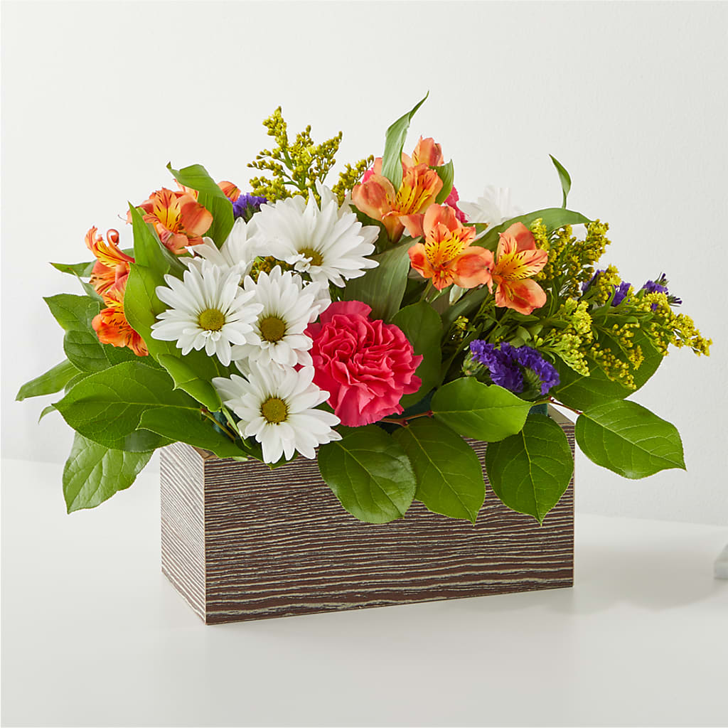 Oopsie Daisy Box Bouquet – Tri-city Florist, Vista CA