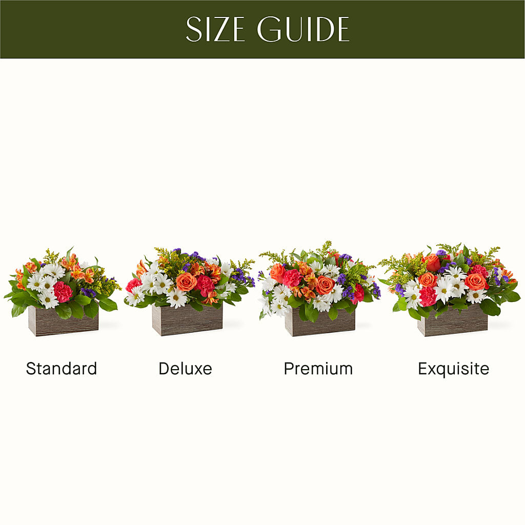 Oopsie Daisy Box Bouquet – Tri-city Florist, Vista CA
