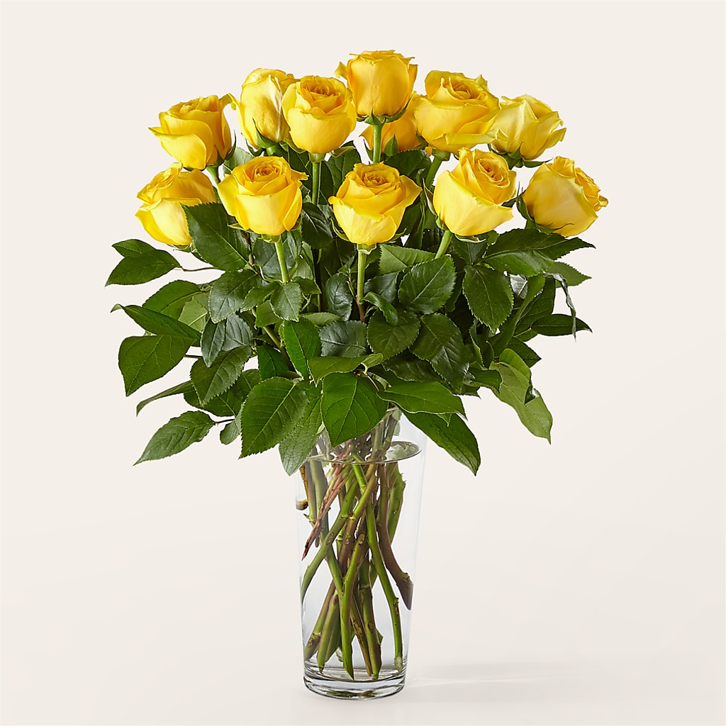 Long Stem Yellow Rose Bouquet – Tri-city Florist, Vista CA