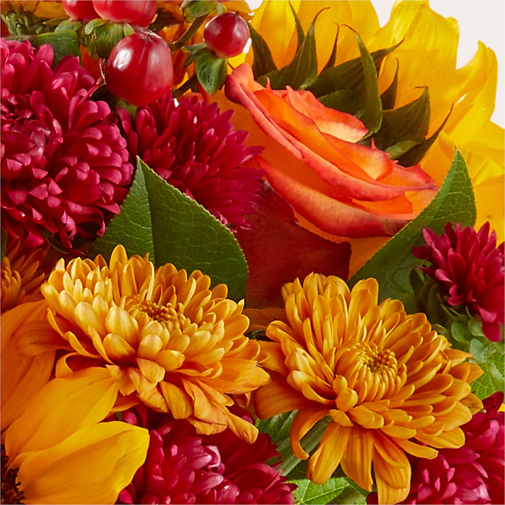 Sweater Season - A Florist Original – Tri-city Florist, Vista CA