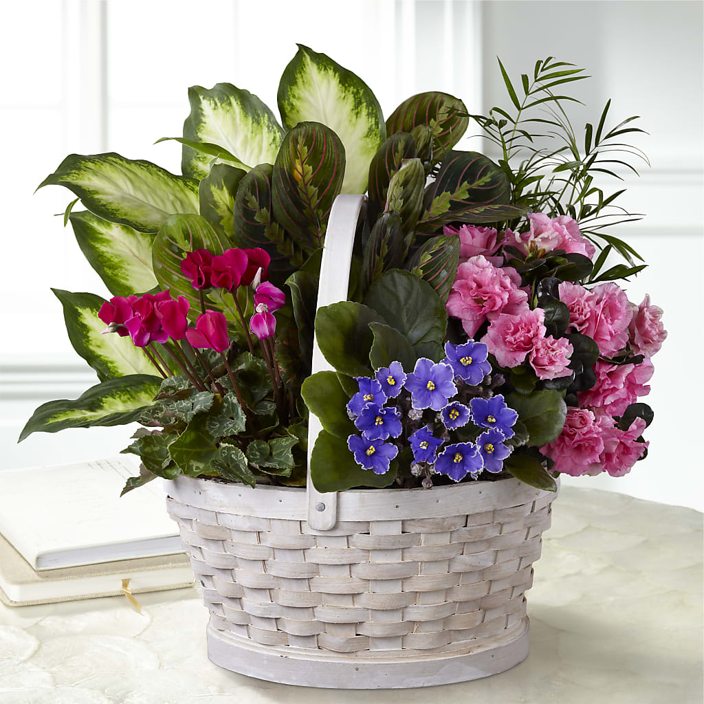 Peaceful Garden Planter – Tri-city Florist, Vista CA