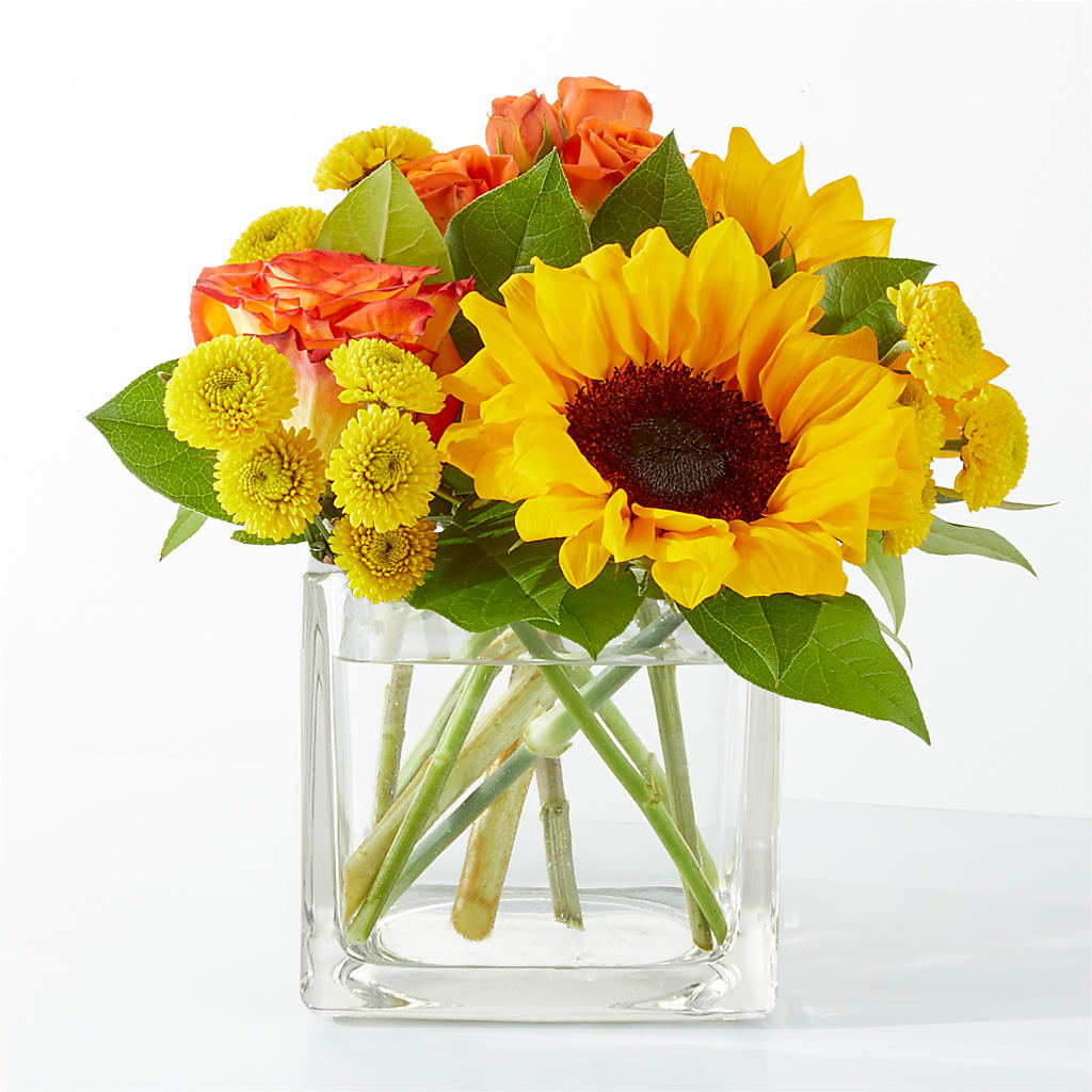 Picnic in the Park Bouquet – Tri-city Florist, Vista CA