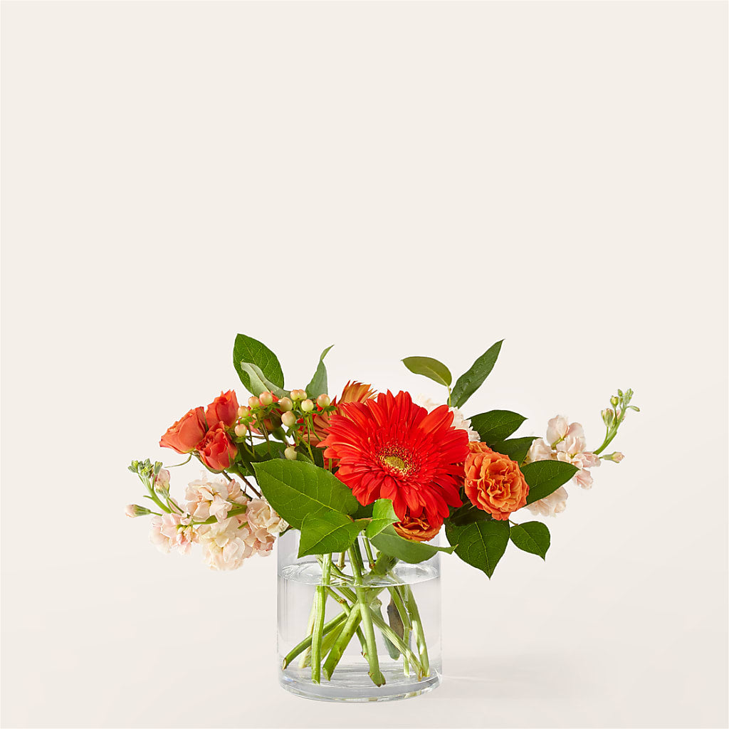 Paloma Please Bouquet – Tri-city Florist, Vista CA