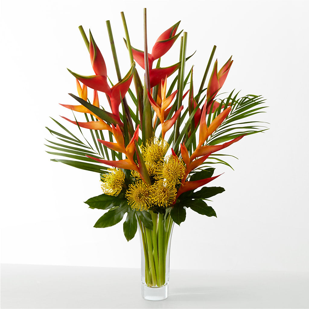 The Drama – Tri-city Florist, Vista CA