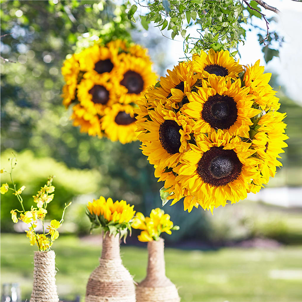 Sublime Garden Hanging Arrangement – Tri-city Florist, Vista CA