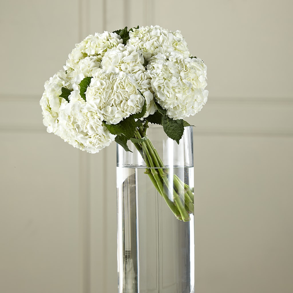 White Hydrangea Hand-Tied Bouquet – Tri-city Florist, Vista CA