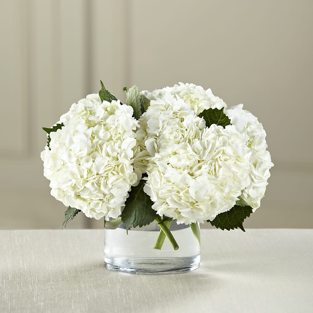 White Hydrangea Bouquet – Tri-city Florist, Vista CA