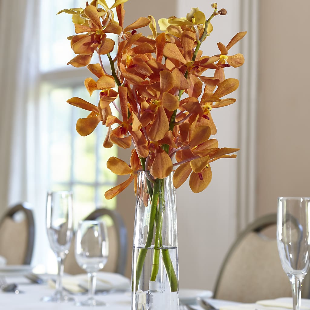 Orange Mokara Bud Vase – Tri-city Florist, Vista CA