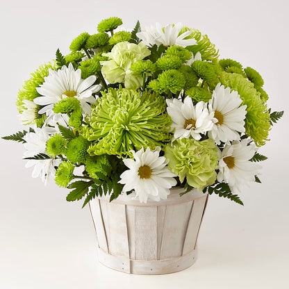 Lucky Charm Basket (Standard) –  Tri-city Florist, Vista CA