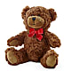 Adorable Plush Bear –  Tri-city Florist, Vista CA