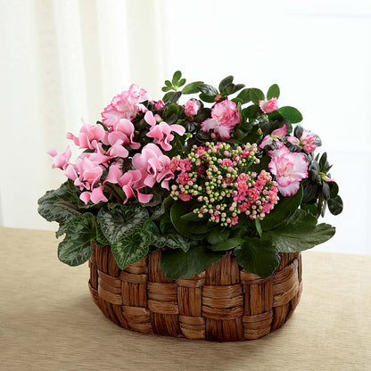 Pink Assortment –  Tri-city Florist, Vista CA