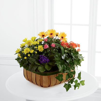 Gentle Blossoms Basket –  Tri-city Florist, Vista CA
