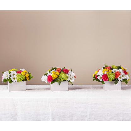 Sorbet Bouquet –  Tri-city Florist, Vista CA