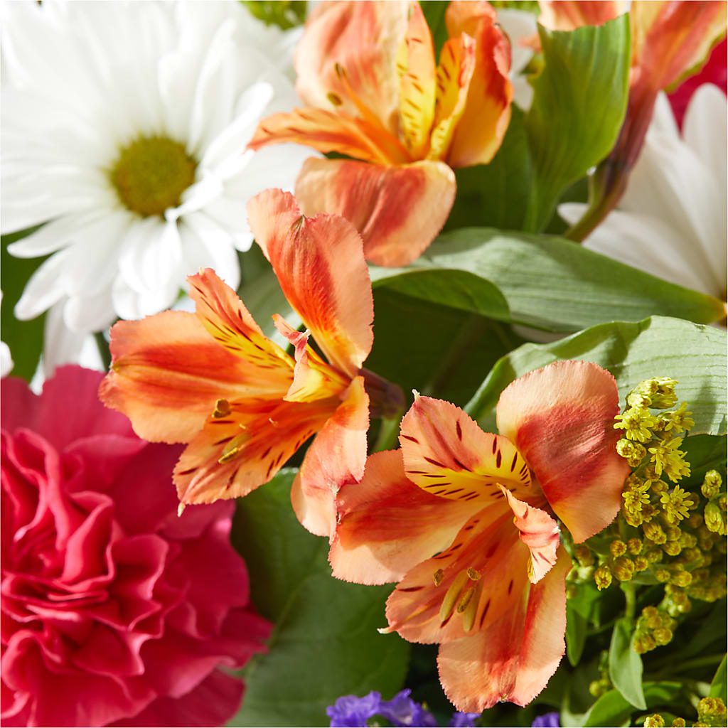 Oopsie Daisy Box Bouquet –  Tri-city Florist, Vista CA