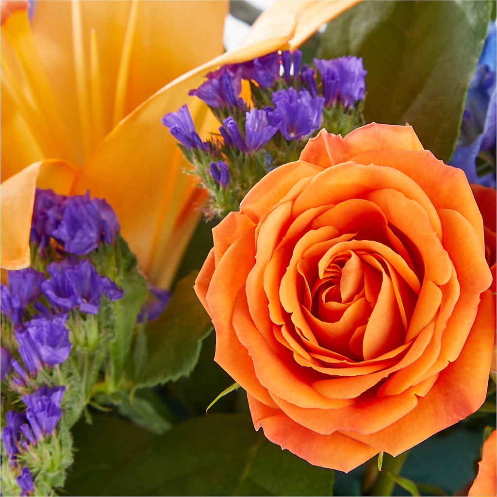 Radiant Citrus Box Bouquet –  Tri-city Florist, Vista CA