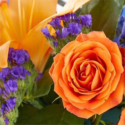 Radiant Citrus Box Bouquet –  Tri-city Florist, Vista CA
