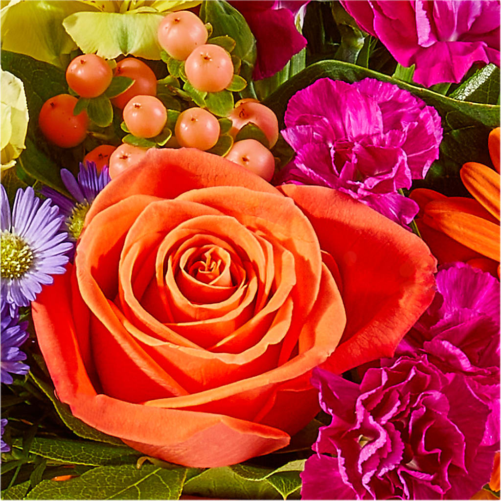Tricks & Treats Pumpkin –  Tri-city Florist, Vista CA