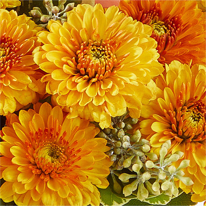 Peachy Pumpkin –  Tri-city Florist, Vista CA