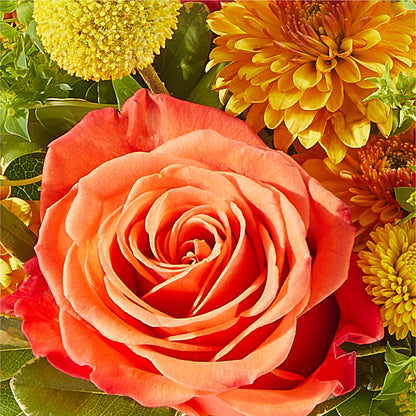 Gourdgeous Pumpkin –  Tri-city Florist, Vista CA