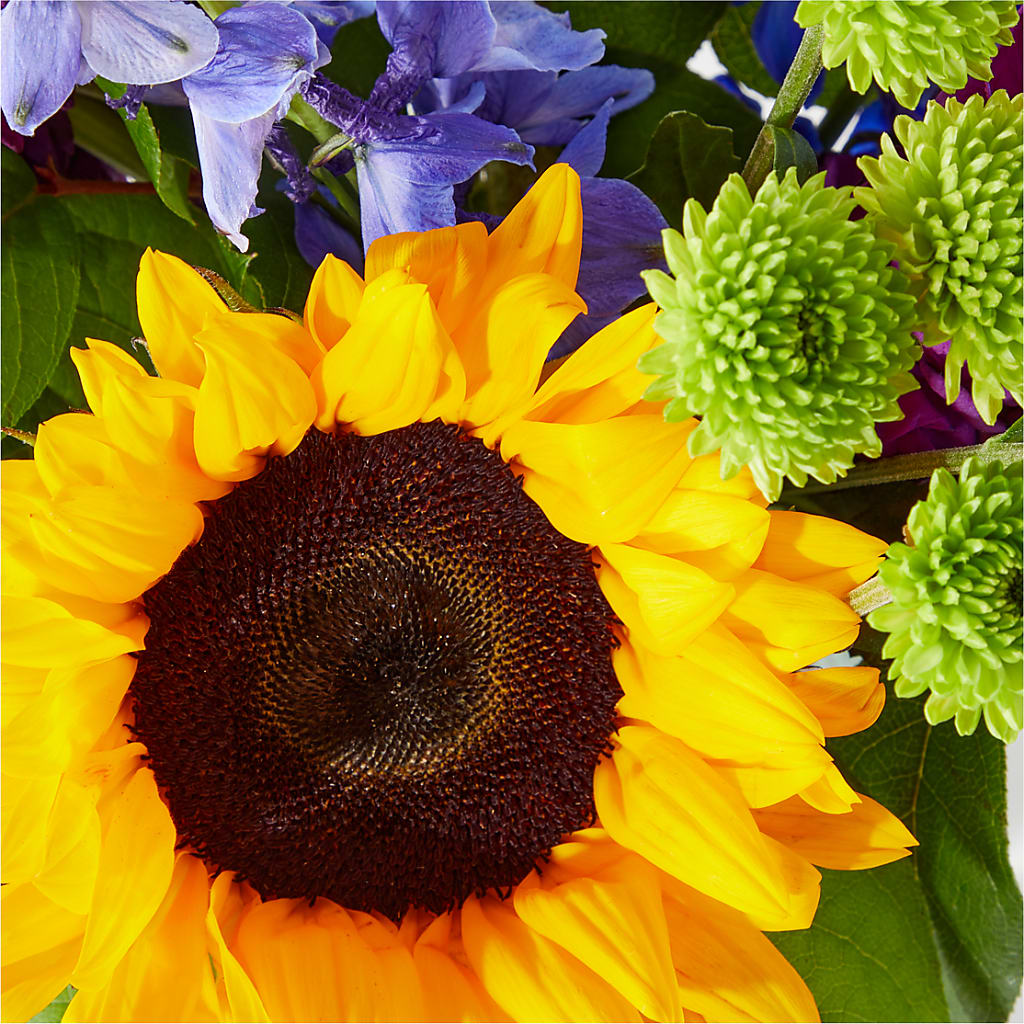Catching Rays Bouquet –  Tri-city Florist, Vista CA