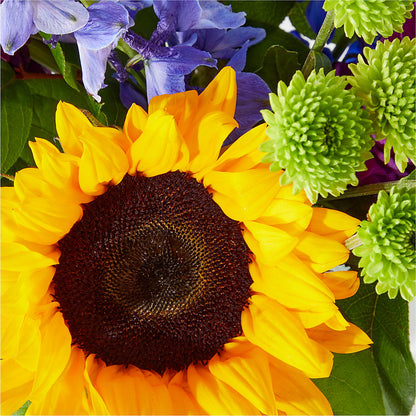 Catching Rays Bouquet –  Tri-city Florist, Vista CA