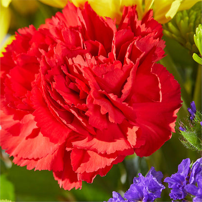 Brighter Days Bouquet –  Tri-city Florist, Vista CA