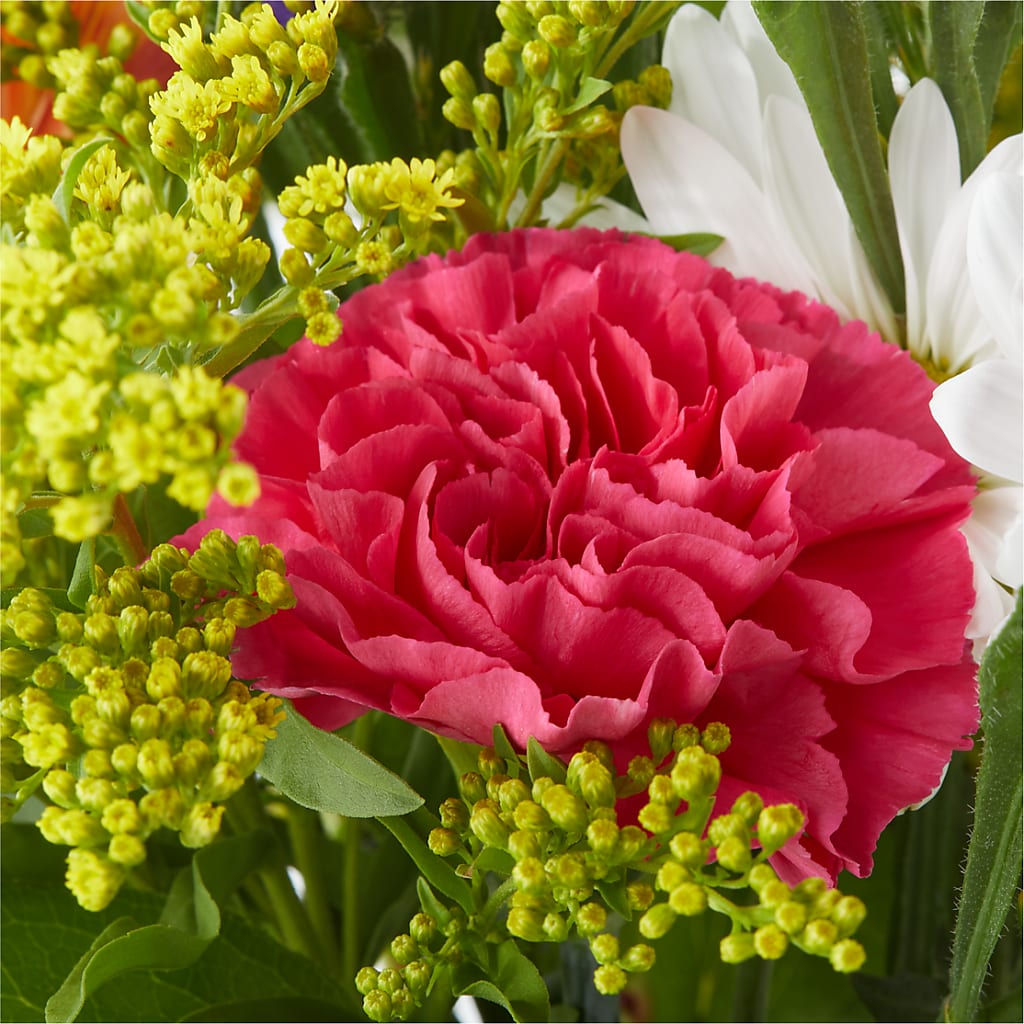 Oopsie Daisy Bouquet –  Tri-city Florist, Vista CA