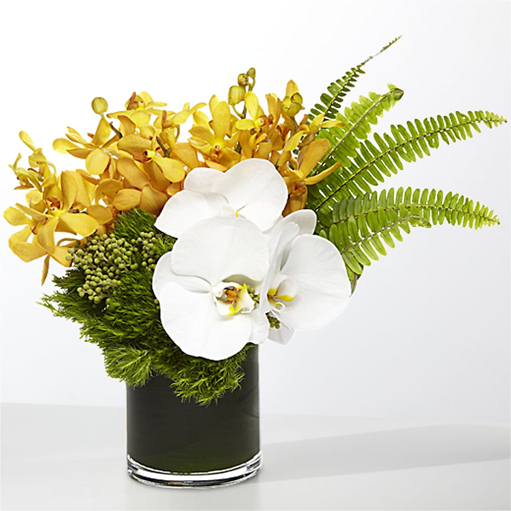 The Tropics –  Tri-city Florist, Vista CA