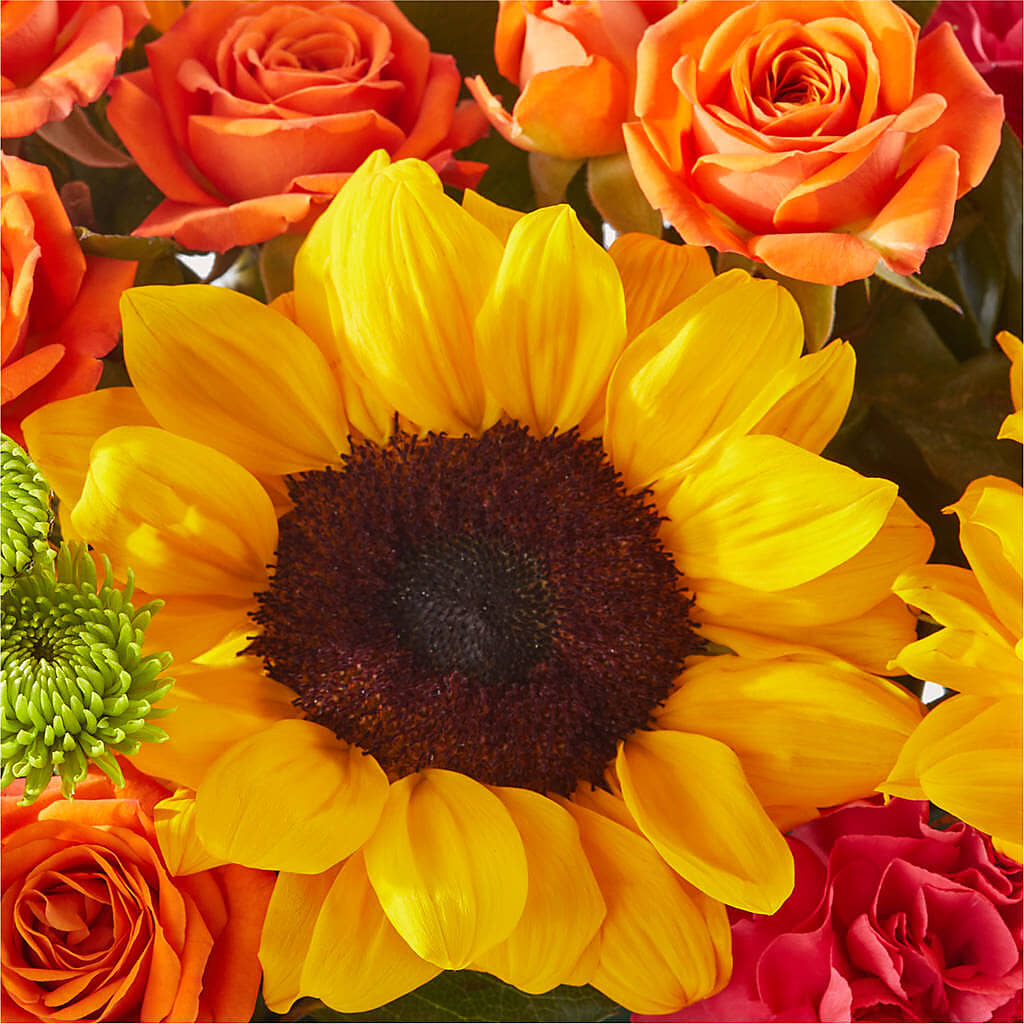 Sun-drenched Blooms Box Bouquet –  Tri-city Florist, Vista CA