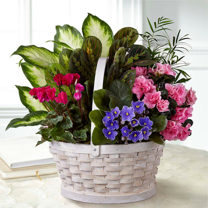 Peaceful Garden Planter –  Tri-city Florist, Vista CA