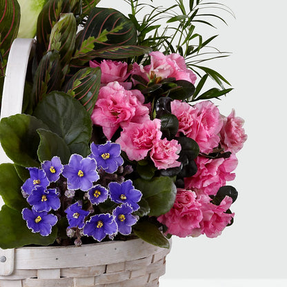 Peaceful Garden Planter –  Tri-city Florist, Vista CA