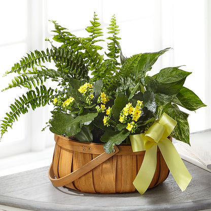 Always Dear Dishgarden –  Tri-city Florist, Vista CA
