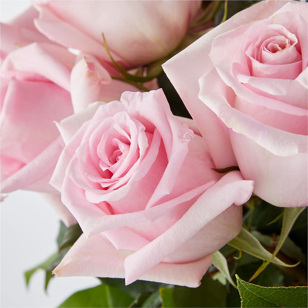 Picture Perfect Pink Rose Bouquet –  Tri-city Florist, Vista CA