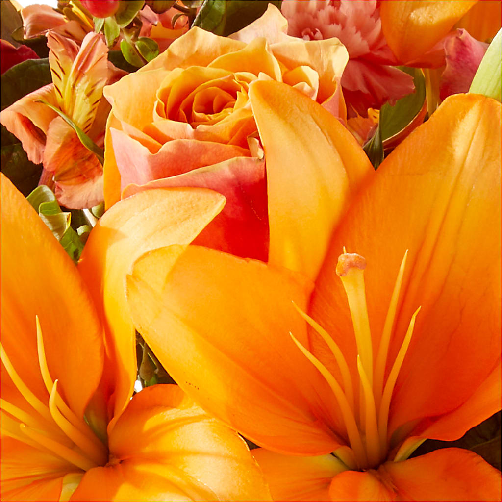 Afternoon Light Bouquet –  Tri-city Florist, Vista CA