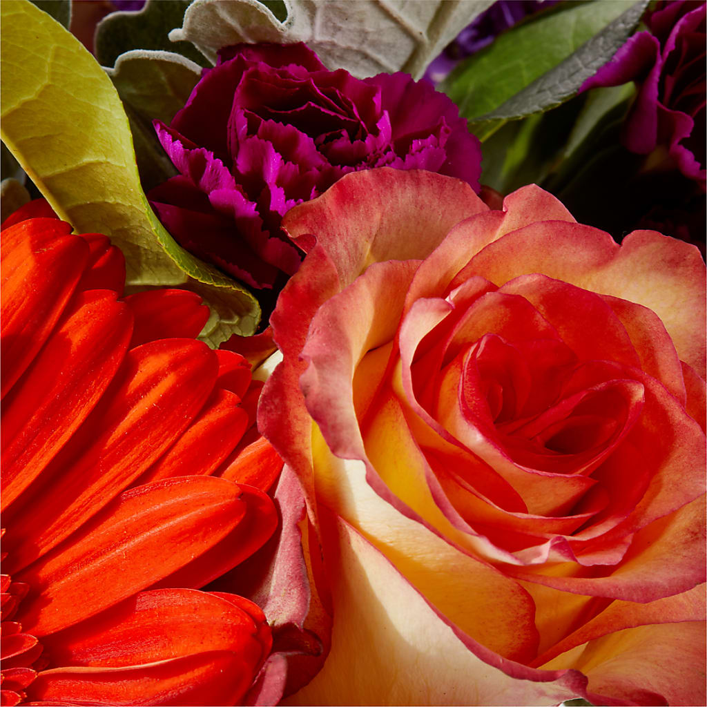 Sangria Bouquet –  Tri-city Florist, Vista CA