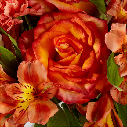 Apricot Glow Bouquet –  Tri-city Florist, Vista CA
