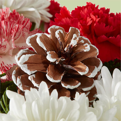 Candy Cane Lane Bouquet –  Tri-city Florist, Vista CA