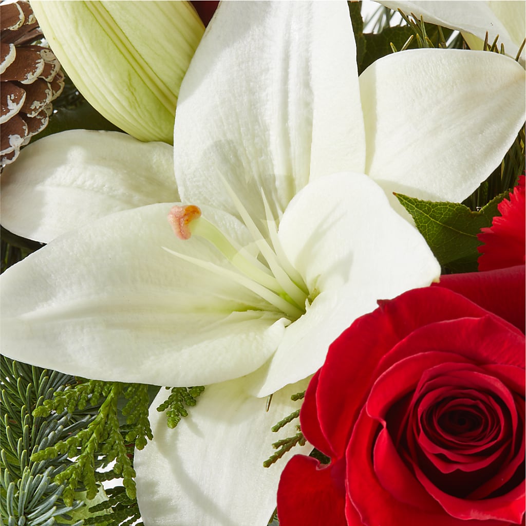 Oh So Jolly Bouquet –  Tri-city Florist, Vista CA