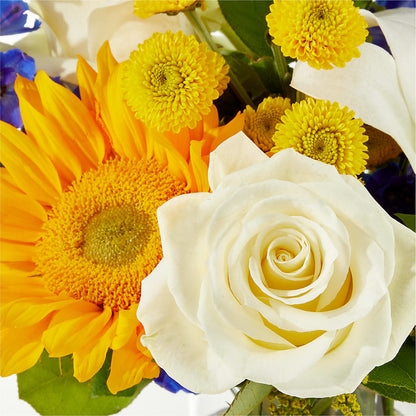 Stargazing Bouquet –  Tri-city Florist, Vista CA