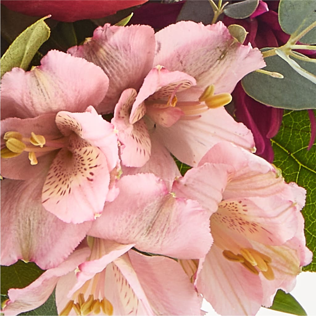 Berry Cobbler Bouquet –  Tri-city Florist, Vista CA