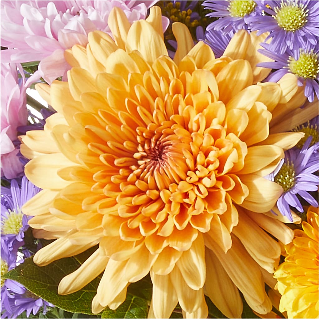 Countryside Bouquet –  Tri-city Florist, Vista CA