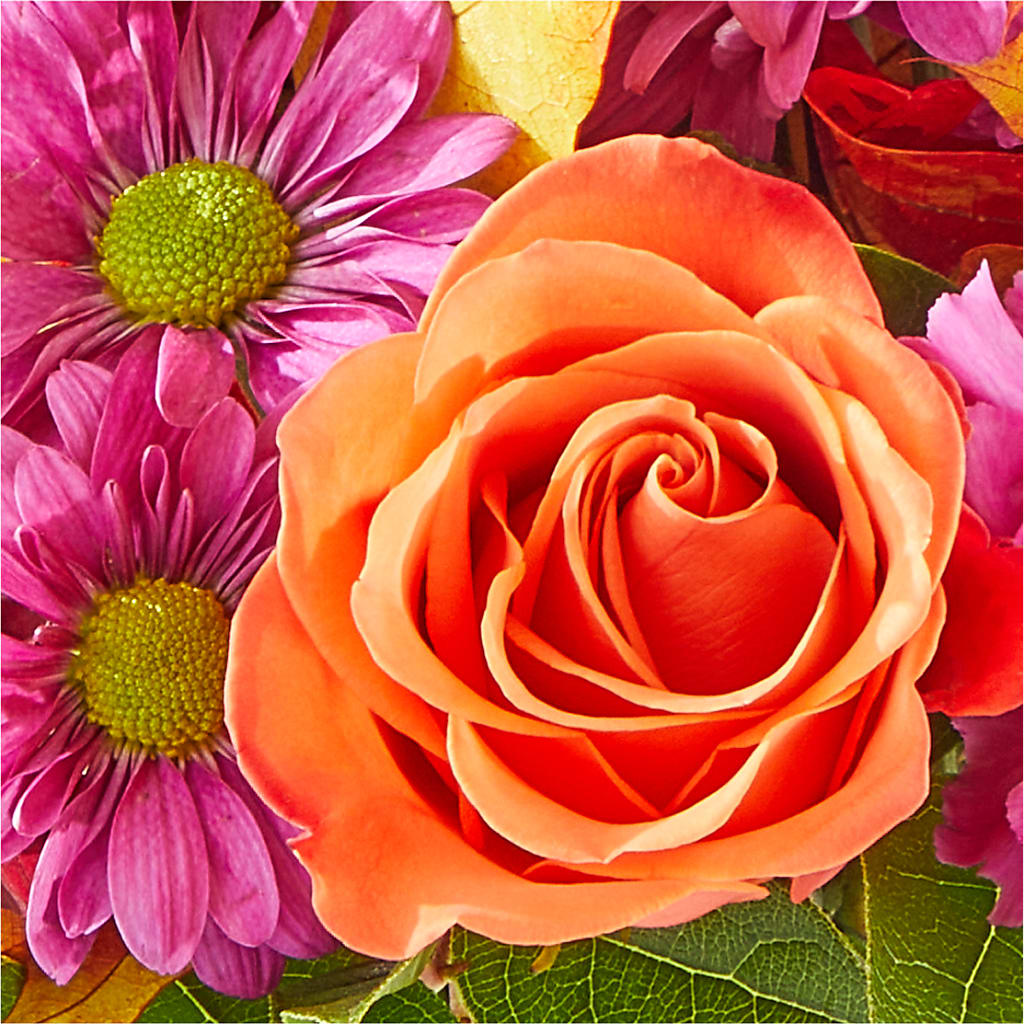 Mum's the Word Bouquet –  Tri-city Florist, Vista CA