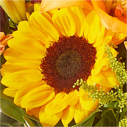 Seasons Change Bouquet –  Tri-city Florist, Vista CA