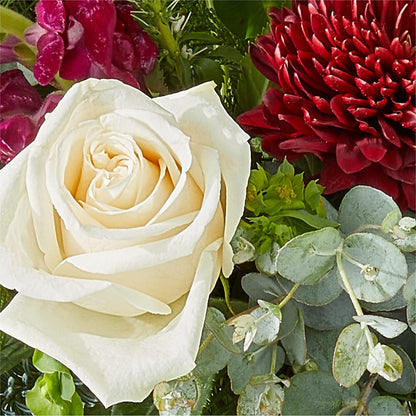 Cranberry Fizz Bouquet –  Tri-city Florist, Vista CA