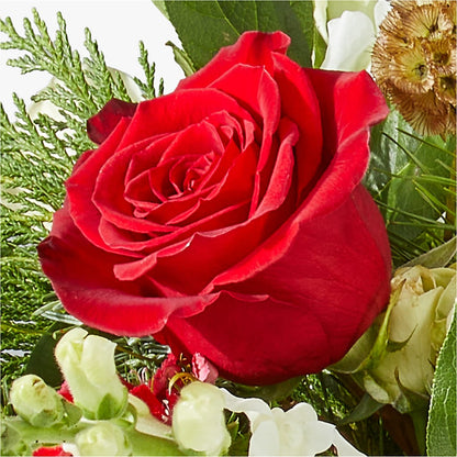 Deck the Halls Bouquet –  Tri-city Florist, Vista CA