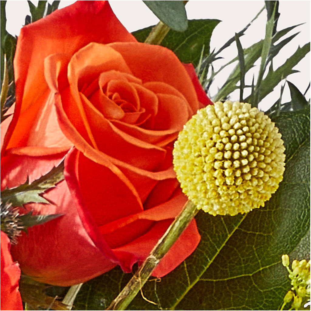 Disco Bouquet –  Tri-city Florist, Vista CA