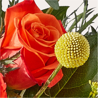 Disco Bouquet –  Tri-city Florist, Vista CA