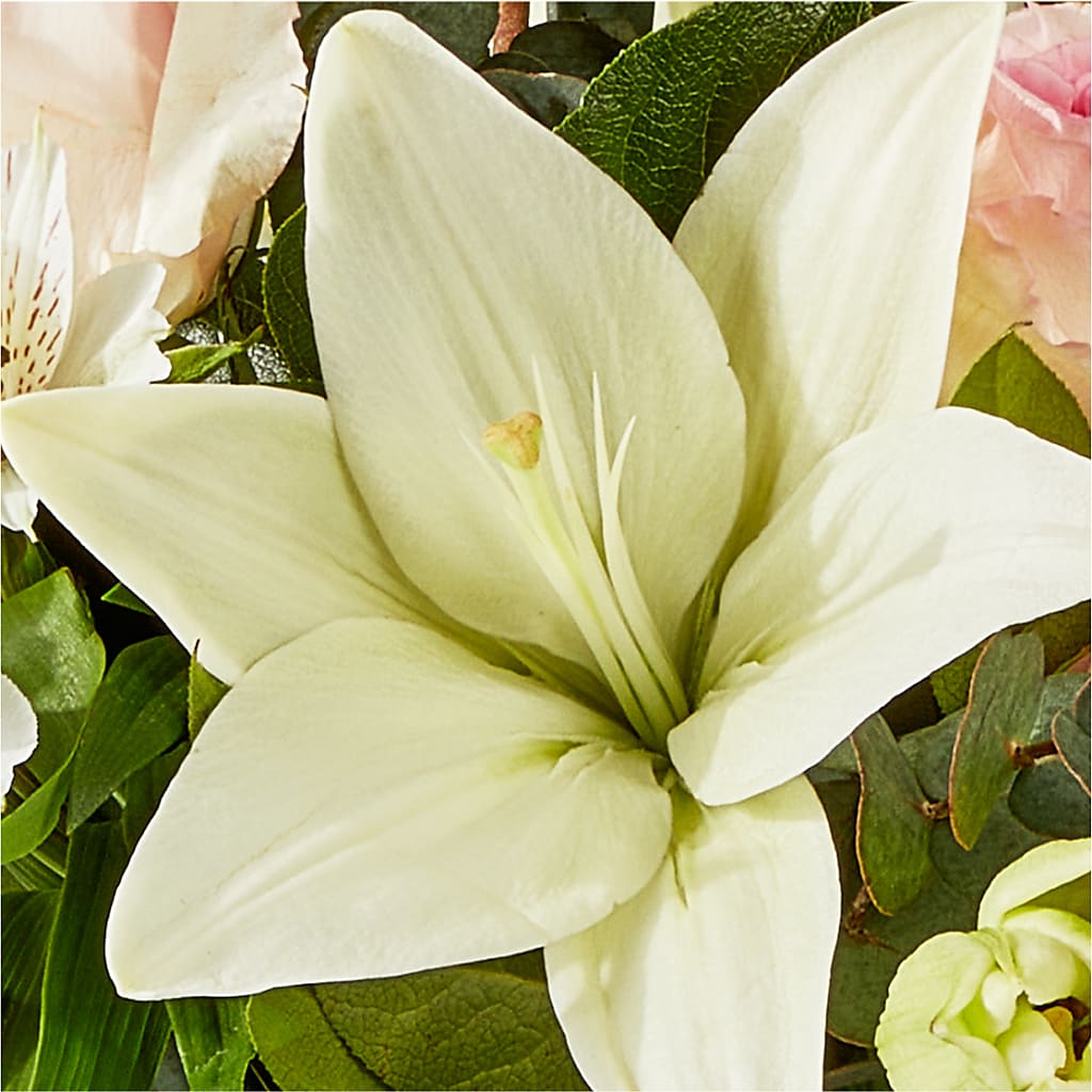 Ballet Slippers Bouquet –  Tri-city Florist, Vista CA