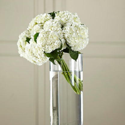 White Hydrangea Hand-Tied Bouquet –  Tri-city Florist, Vista CA